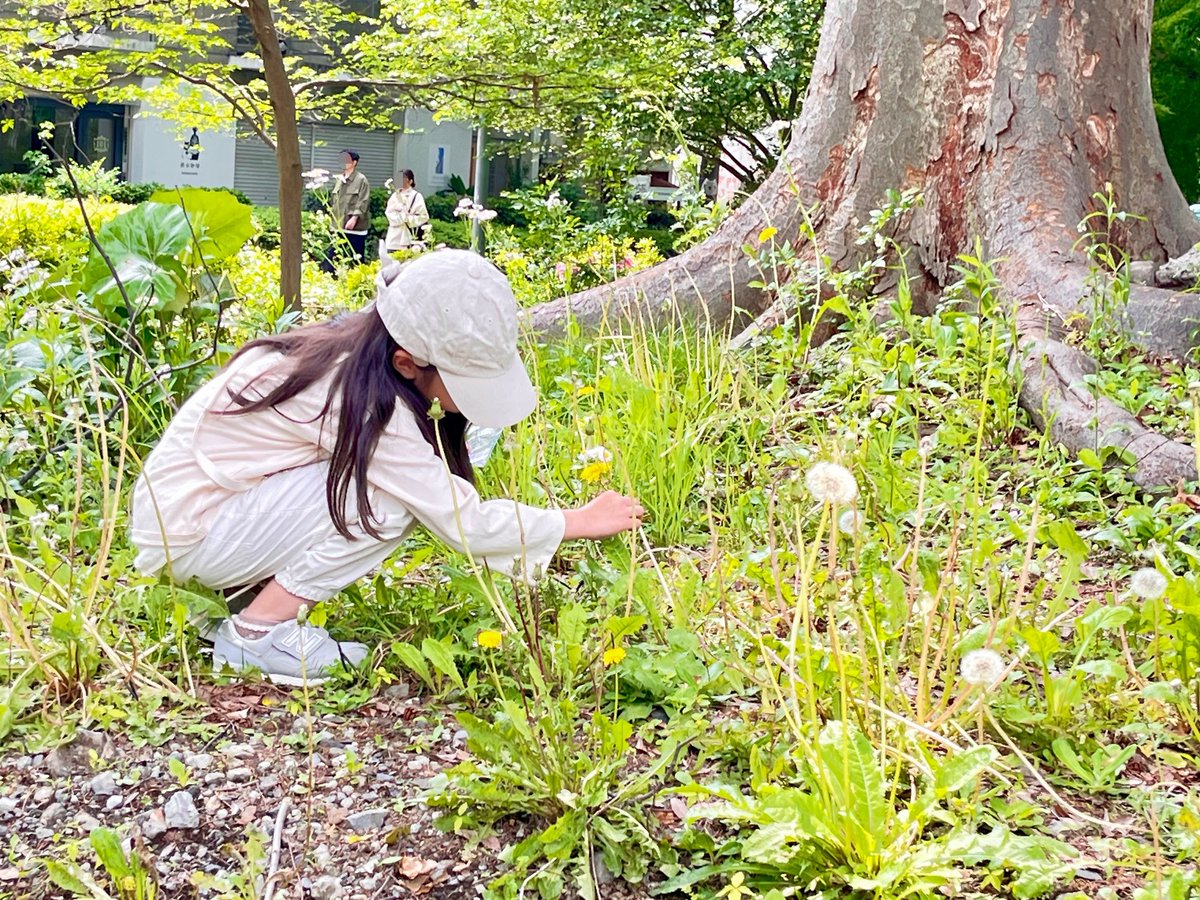 SaitamaOmiyaLib's tweet photo. イベント「じっくり観よう！たのしく描こう！～絵本作家・岩渕真理さんと自然を観察～」を開催しました。「五感を使って描く」をテーマに、よく晴れたお天気の下で観察したら発見がたくさん！木の実のいろ、葉っぱのにおい、幼虫の手触りを表現した力作の数々は、このあと図書館でお披露目です。 https://t.co/gYAX968jK3