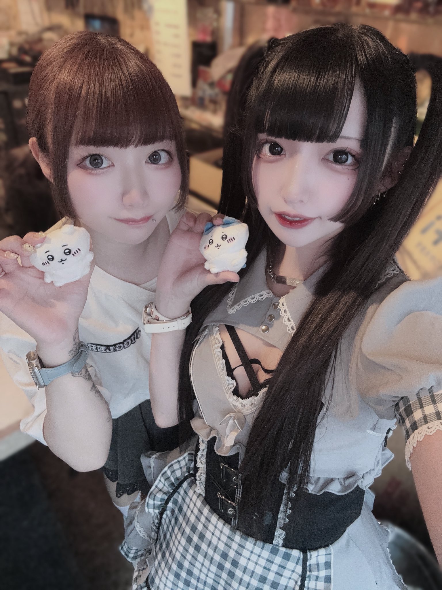 まめちゃん🌱 on X: 