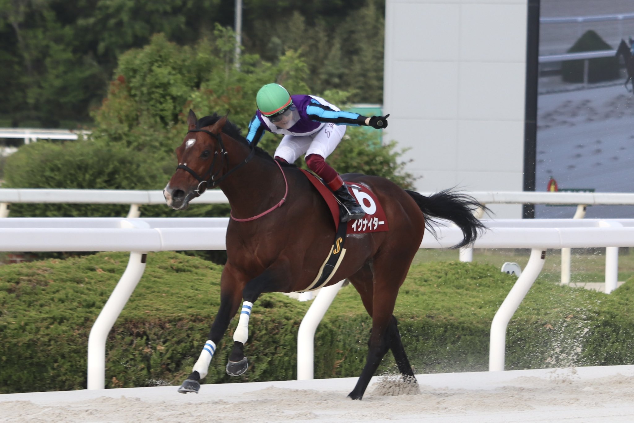 奇門遁甲 北条書店 テキスト 吉方位旅行・競馬・競艇 81ystbZMZ-L._UF350,350_QL50_.jpg
