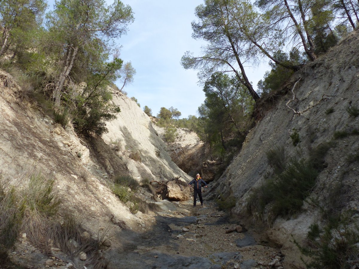 La_Carrasca's tweet image. 🌿 ¡Nueva ruta de senderismo!
¡Nueva ruta! 🚶♀️ Subiremos al pico Melgoso y recorreremos el barranco homónimo hasta las Salinas de Periago, un paraje único en Murcia.
📅 Fecha: 11 de mayo
📲 lacarrascaorg.wordpress.com/2025/05/05/pic…
#Senderismo #Lorca #Murcia #Naturaleza #SalinasDePeriago