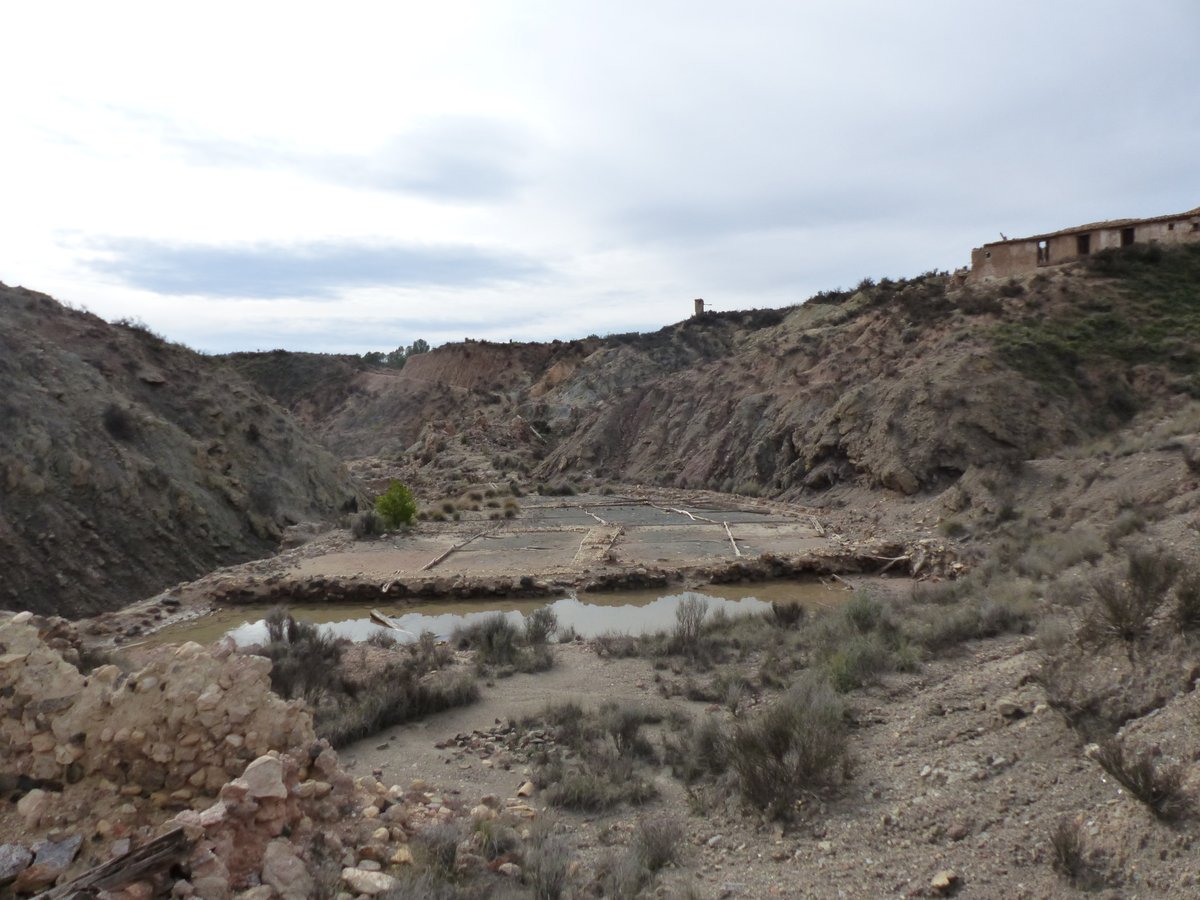 La_Carrasca's tweet image. 🌿 ¡Nueva ruta de senderismo!
¡Nueva ruta! 🚶♀️ Subiremos al pico Melgoso y recorreremos el barranco homónimo hasta las Salinas de Periago, un paraje único en Murcia.
📅 Fecha: 11 de mayo
📲 lacarrascaorg.wordpress.com/2025/05/05/pic…
#Senderismo #Lorca #Murcia #Naturaleza #SalinasDePeriago
