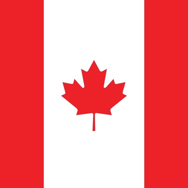 For the first time since 2004 there are 3 Canadian teams in the final 8 of the NHL Playoffs. The remaining 3 teams are: Oilers, Jets &amp; Maple Leafs.