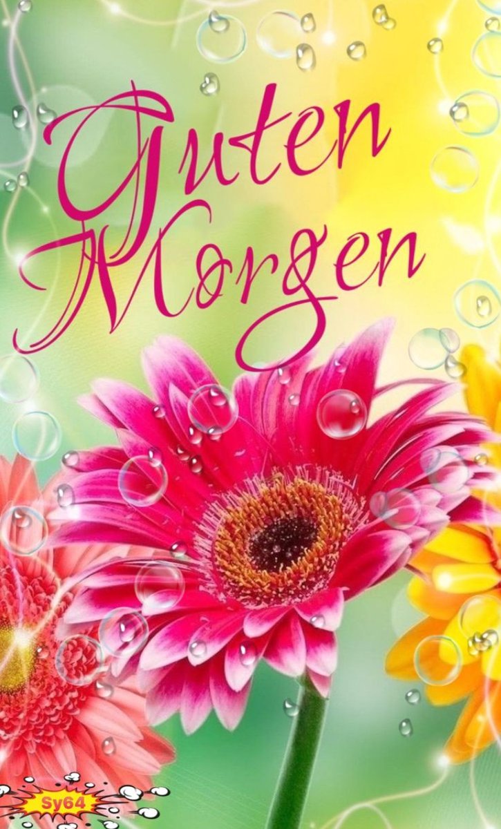 Guten Morgen liebe Freunde, wünsche Euch einen ganz normalen Montag! THINK BLUE 💙💙💙💙💙💙