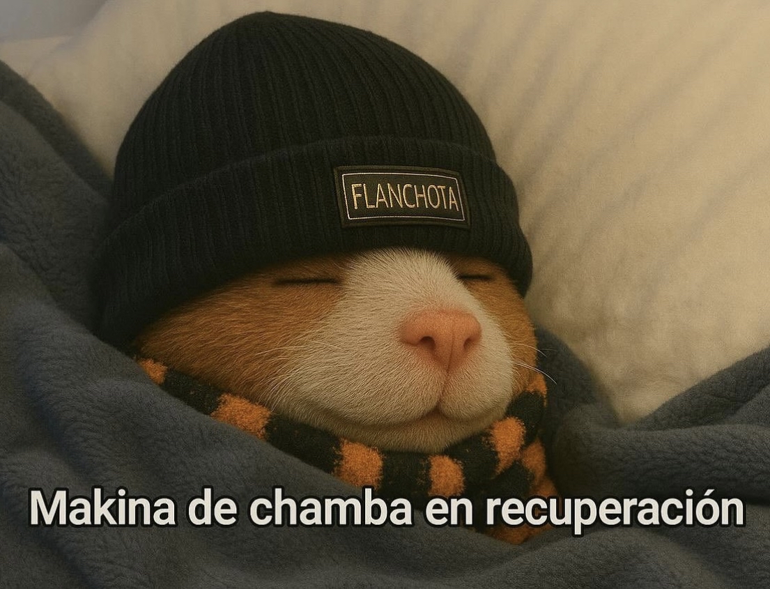 En recuperación.