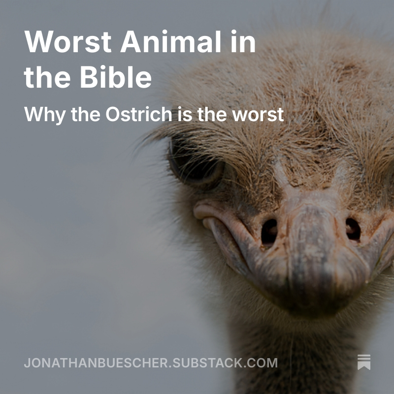 Ostriches are the worst; find out why!
open.substack.com/pub/jonathanbu…