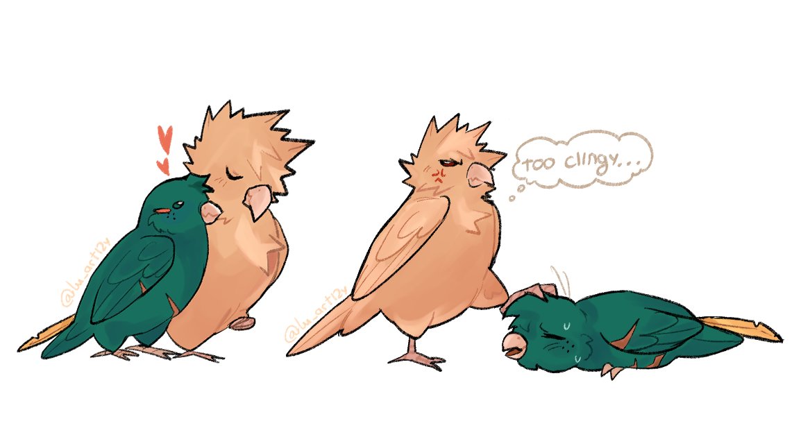 ilikeparrots
#dkbk #izkt #bkdk