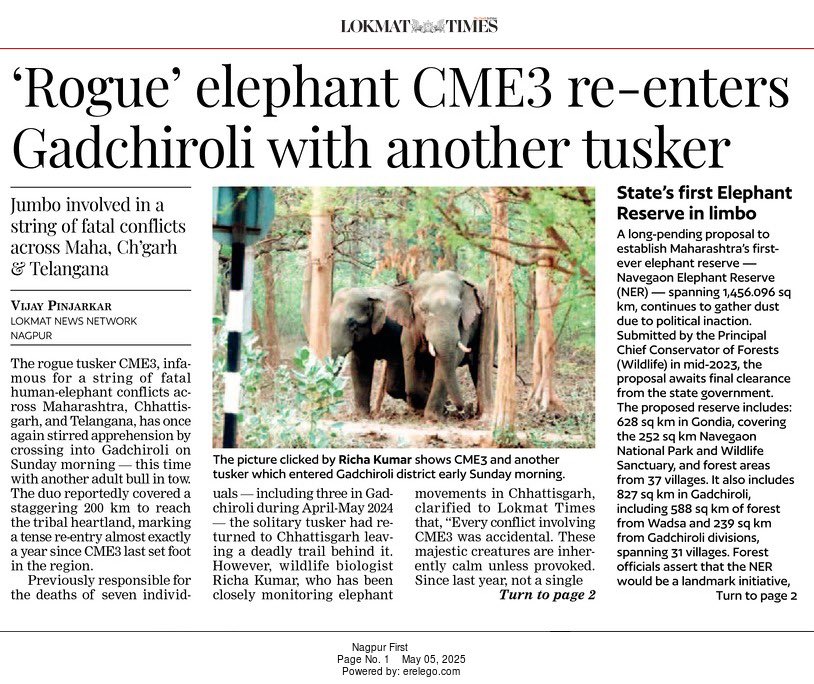 LokmatTimes_ngp's tweet image. #VidarbhaNews: &apos;Rogue&apos; #elephant #CME3 re-enters #Gadchiroli with another #tusker, Jumbo involved in a string of fatal #conflicts across Maha, Ch&apos;garh &amp;amp; Telangana

ReadMore: epaper.lokmat.com/articlepage.ph…

Story by: Vijay Pinjarkar (Lokmat Times)