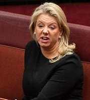 ChrisHeHim1's tweet image. Incumbent member for Bendigo Lisa Chesters, said Senator Bridget McKenzie booed voters taking her how-to-vote cards during pre-poll voting in the Central Victorian seat of Bendigo.

McKenzie has not denied the allegation. 

#auspol #ausvotes #qanda #abc730 #AusVotes25