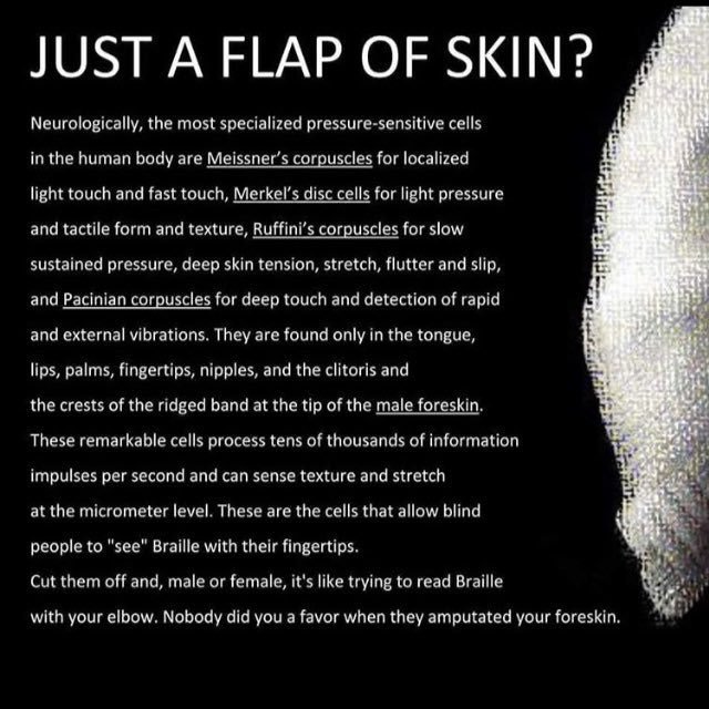 Some truth about our foreskin - point being; #StopGenitalMutilation why cut it off human skin anywhere?? skin over the entire body by the way, is considered an organ..so Doctors are removing a part of 2 organs!? #JustStupid