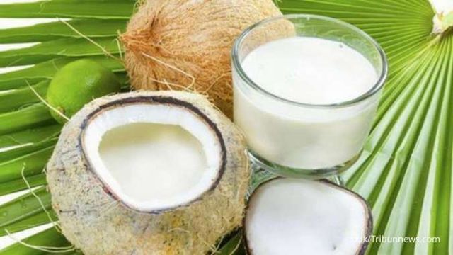 SANTAN KELAPA

Orang Tiongkok mulai mengonsumsi santan kelapa dari Indonesia untuk mengurangi ketergantungan pada susu sapi yang diimpor dari negara barat.

"sementara kaum hedonis Indonesia malah mengganti santan kelapa dengan susu sapi untuk memasak kolak dan gulai"

😜😝😛