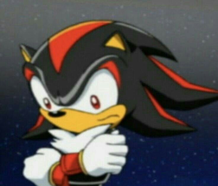 Daily Shadow (@247edgehog) on Twitter photo 