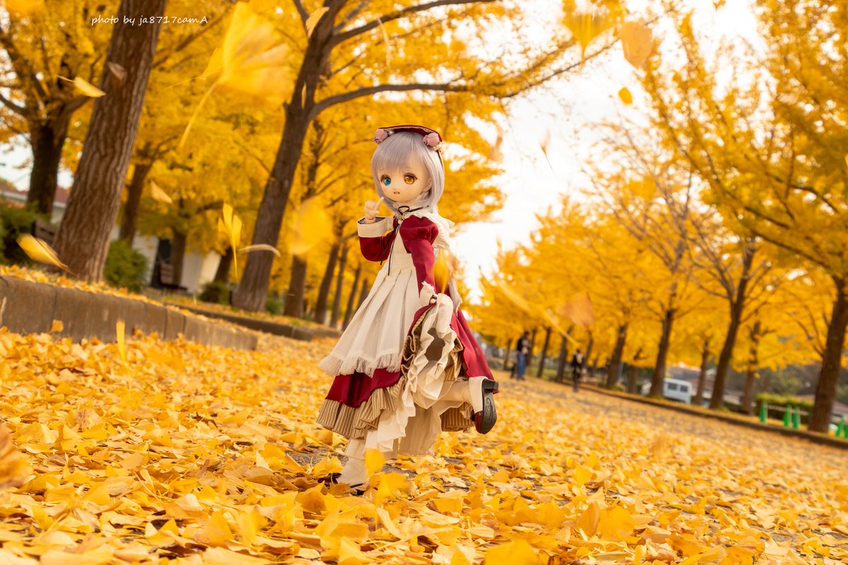 #GWはフォロワーさんが増えるらしい
