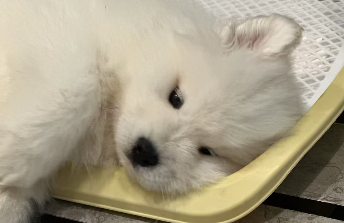 ช้านเก่าไปแล้ว