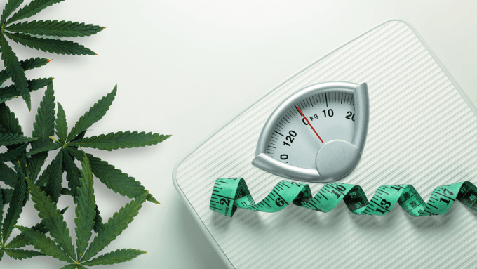 CarverJohns's tweet photo. Administration of THCV and CBD Promotes Weight Loss, Improves Cholesterol

Compared to those consuming the placebo, subjects taking THCV and CBD experienced significant weight loss and other metabolic improvements...

https://t.co/HSWUsDjNR0 https://t.co/vDOOKYWII4