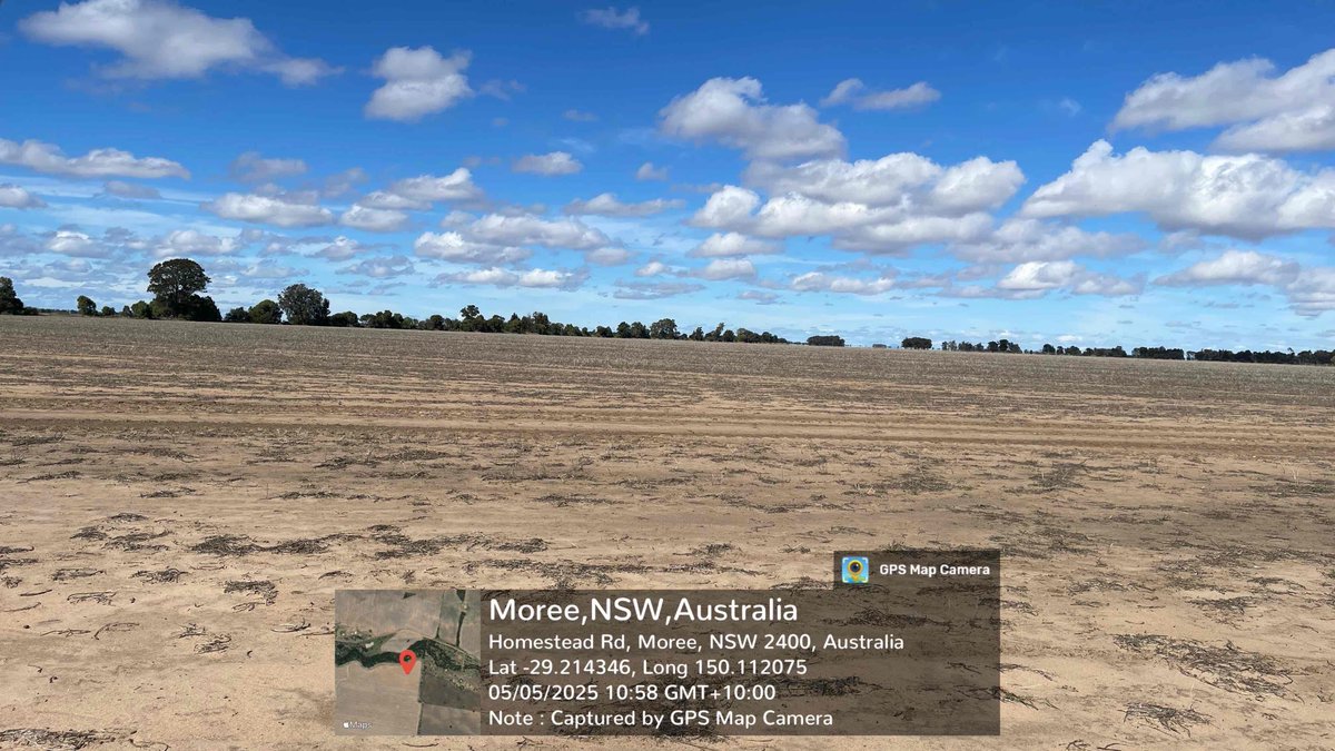 Prof (Weed Science) Bhagirath Chauhan (@bschauhan76) on Twitter photo Took advantage of the long weekend in Qld, I spent the weekend in NSW & finalised 5 trial sites on Phalaris mgt in wheat & chickpea: integration of crop competition with herbicides. Thanks <a href="/theGRDC/">GRDC</a> <a href="/GRDCNorth/">GRDC North</a> <a href="/UQWeedScience/">Chauhan lab UQ</a> <a href="/QAAFI/">QLD Alliance for Agriculture & Food Innovation</a> Took advantage of the long weekend in Qld, I spent the weekend in NSW & finalised 5 trial sites on Phalaris mgt in wheat & chickpea: integration of crop competition with herbicides. Thanks <a href="/theGRDC/">GRDC</a> <a href="/GRDCNorth/">GRDC North</a> <a href="/UQWeedScience/">Chauhan lab UQ</a> <a href="/QAAFI/">QLD Alliance for Agriculture & Food Innovation</a>