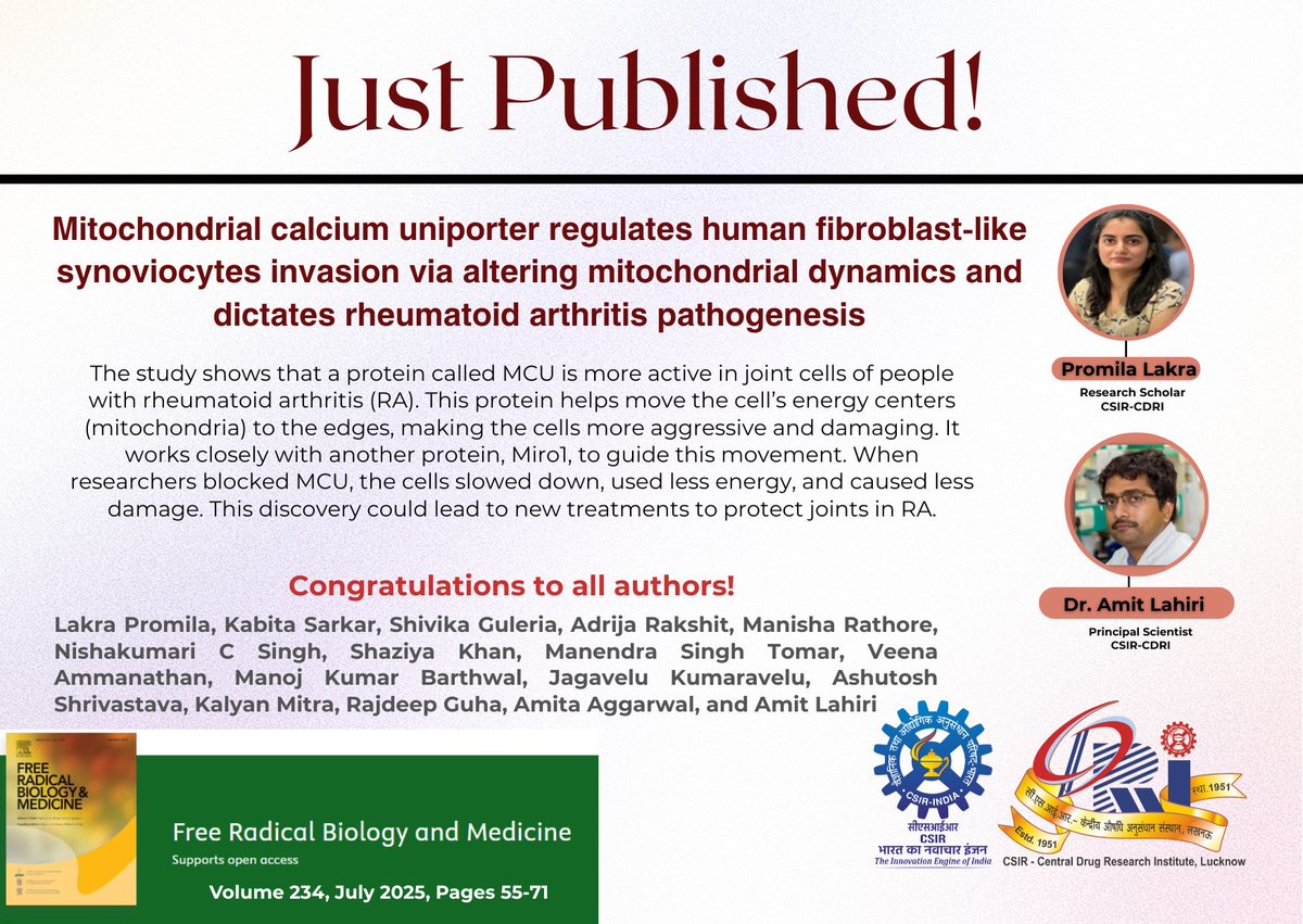 CDRI-Academy and Research (@cdriacademy) on Twitter photo 🚨 #JustPublished
New study from Dr. Amit Lahiri’s group <a href="/CSIR_CDRI/">CSIR-CDRI</a> shows how MCU drives cell migration in rheumatoid arthritis by pushing mitochondria to cell edges. Blocking MCU slows damage—offering a new therapeutic angle!
<a href="/CSIR_IND/">CSIR, India</a>
👏 Read it here: pubmed.ncbi.nlm.nih.gov/40188890/ 🚨 #JustPublished
New study from Dr. Amit Lahiri’s group <a href="/CSIR_CDRI/">CSIR-CDRI</a> shows how MCU drives cell migration in rheumatoid arthritis by pushing mitochondria to cell edges. Blocking MCU slows damage—offering a new therapeutic angle!
<a href="/CSIR_IND/">CSIR, India</a>
👏 Read it here: pubmed.ncbi.nlm.nih.gov/40188890/