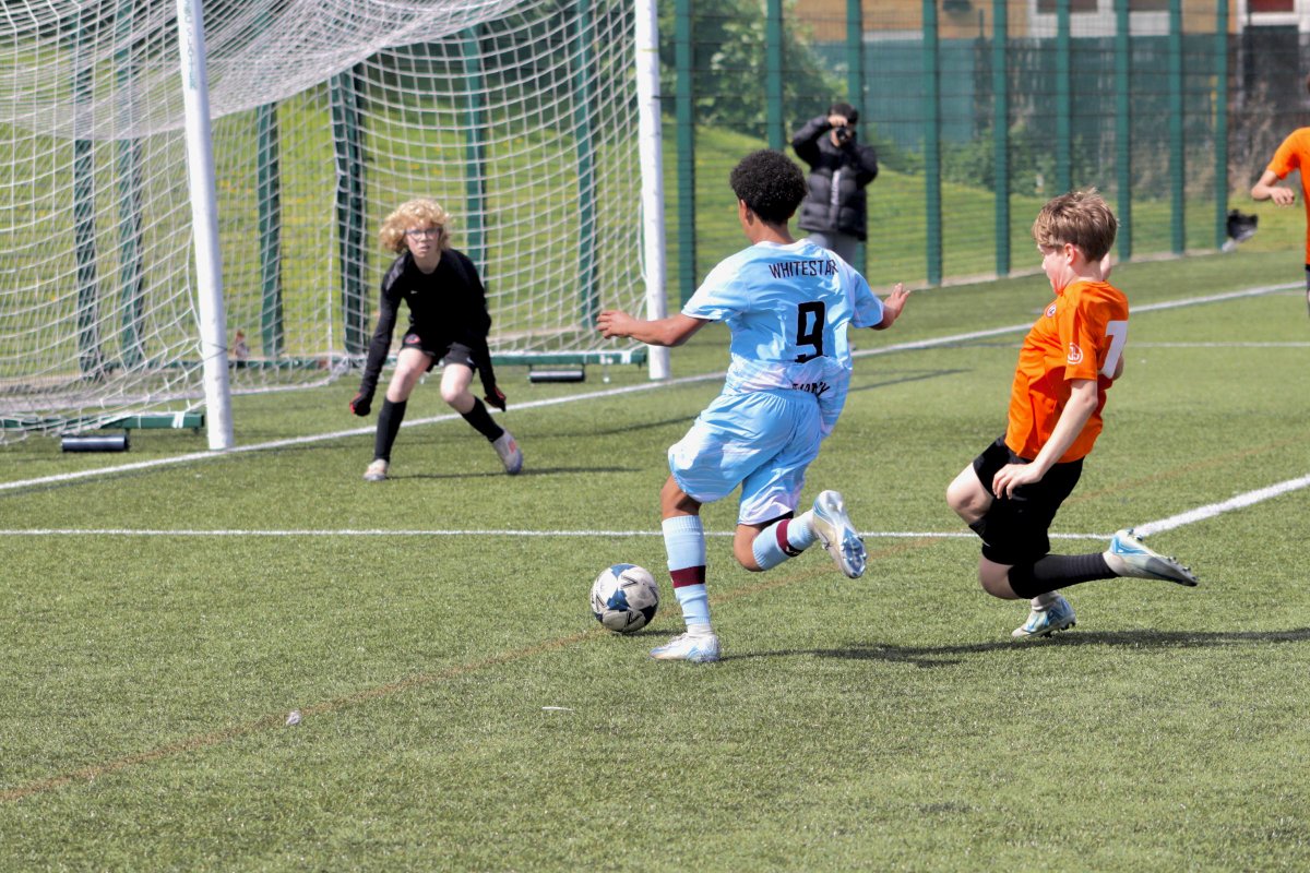 Whitestar Academy tweet media