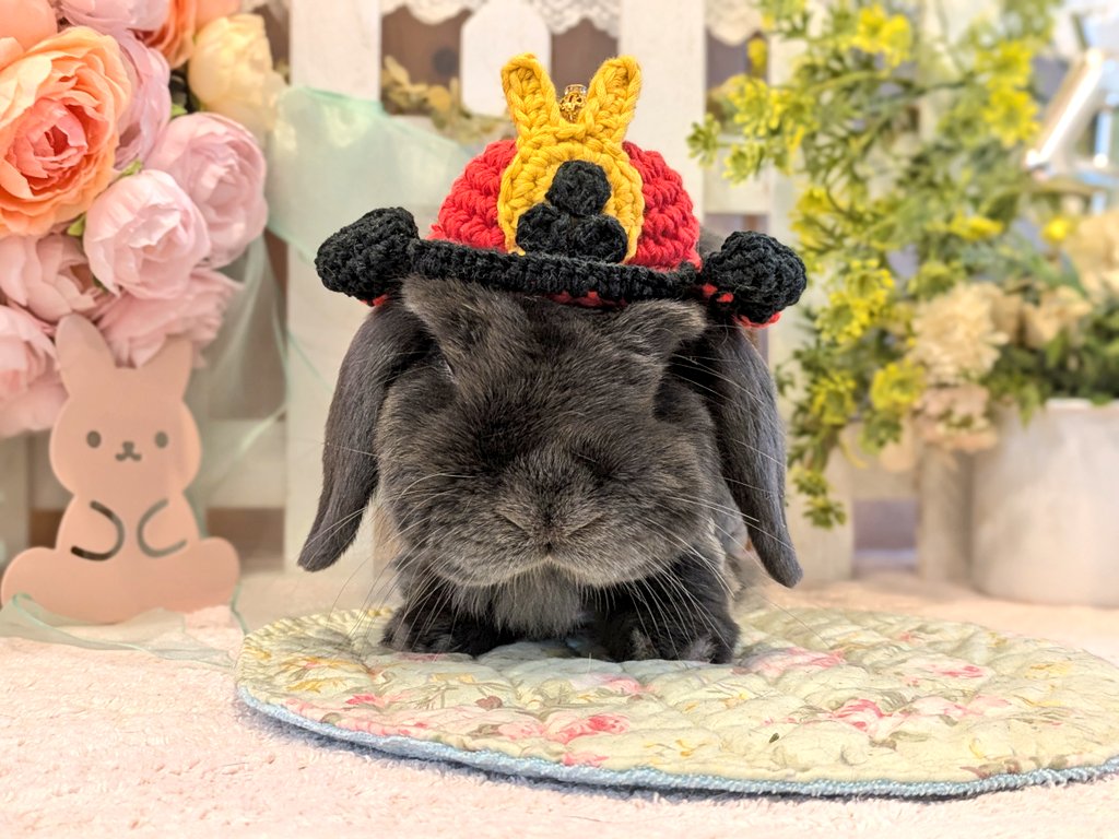 こどもの日🐰🎏
あごから伸びた毛があご髭に見える😁
