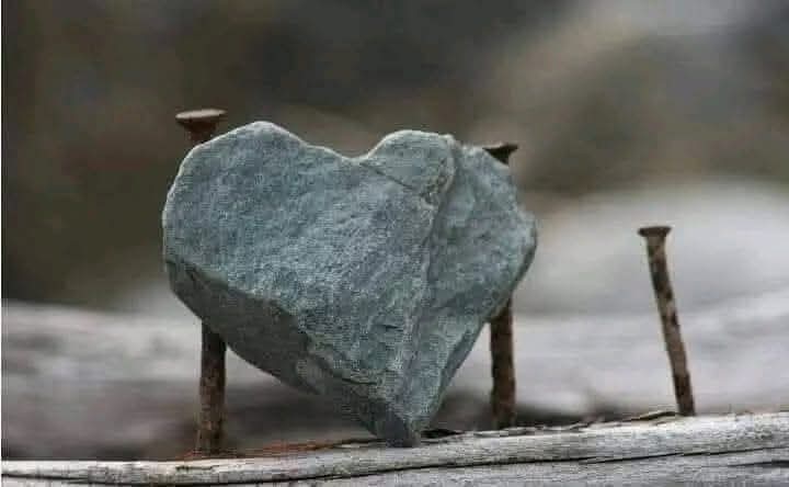 میں  وه کتاب ہوں جسے پڑھنے کے بعد 
لوگ ترجمے کے لئے تمہاری طرف دیکھیں گے 
🖤✍️🩷🩷🧡
#قومی_زبان 
#اردو_زبان