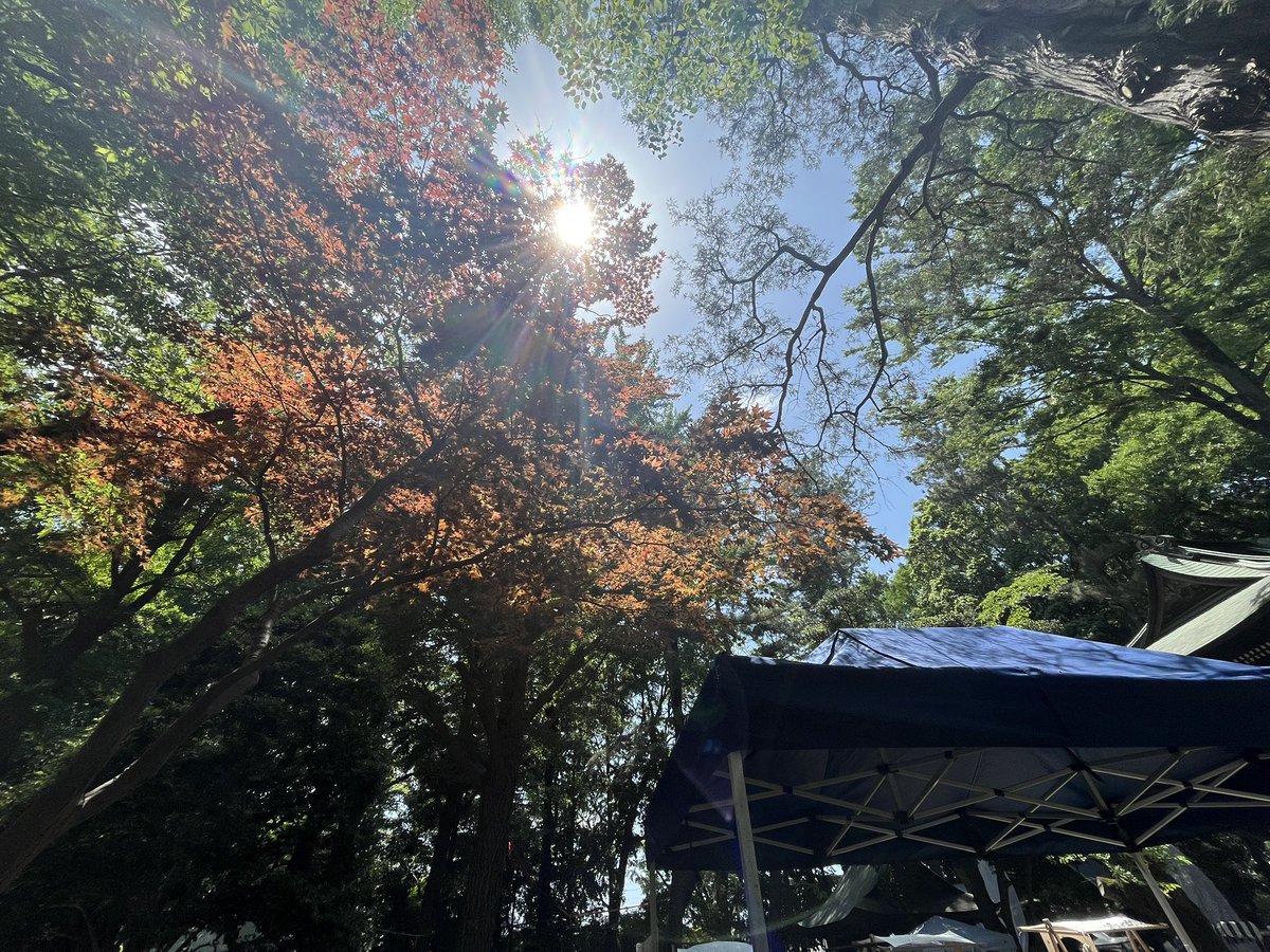 珈琲参道、毎年来ようと思う
良すぎる