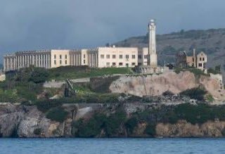 Farm Girl Carrie 👩‍🌾 tweet media