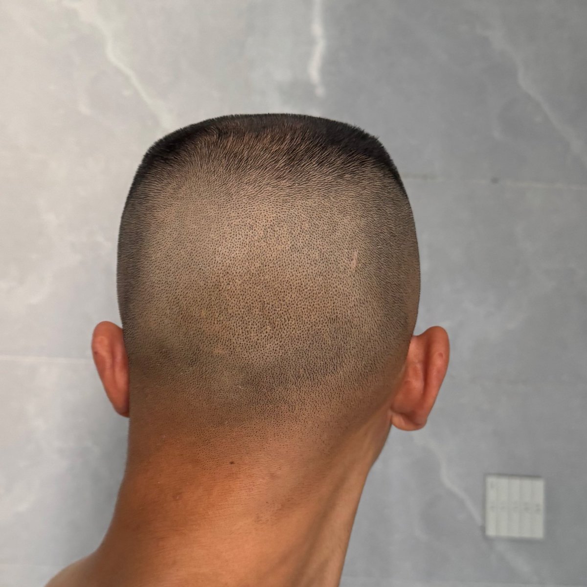 Woodluck tweet media