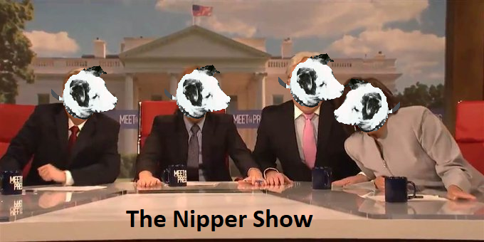 GummyDoctor's tweet photo. @CBSNews "In all chaos there is a cosmos, in all disorder a secret order." – Carl Jung
Media Parrots by Nipper Creations 
N.B.C. = R.C.A. HMV programmed  NPC's!  
They want you to fight your fellow Americans.
#HisMastersVoice
#FellowSnifferOfNipper
#SqawkingParrotsRepeat
#ObeyYourMasters https://t.co/CEeoIH8A9p