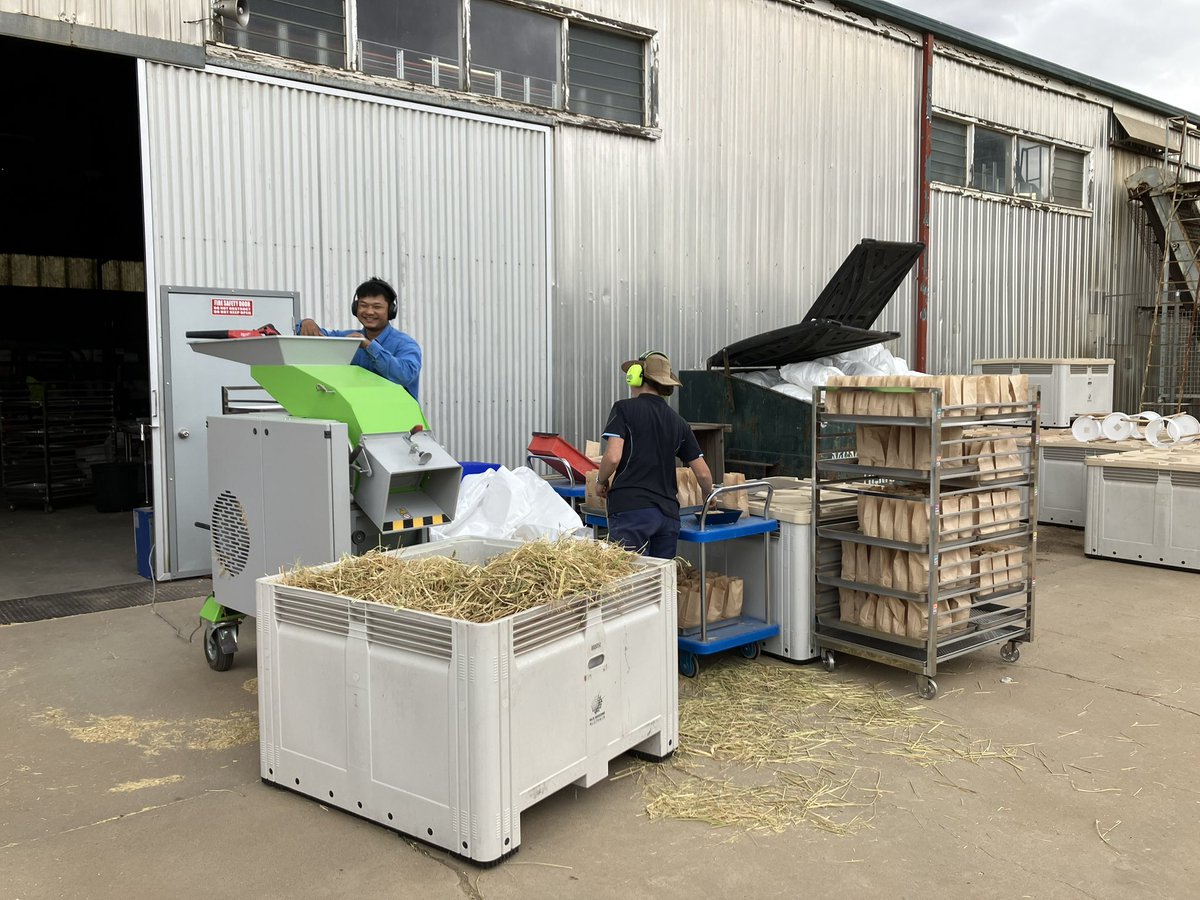 Rice Breeding Australia tweet media