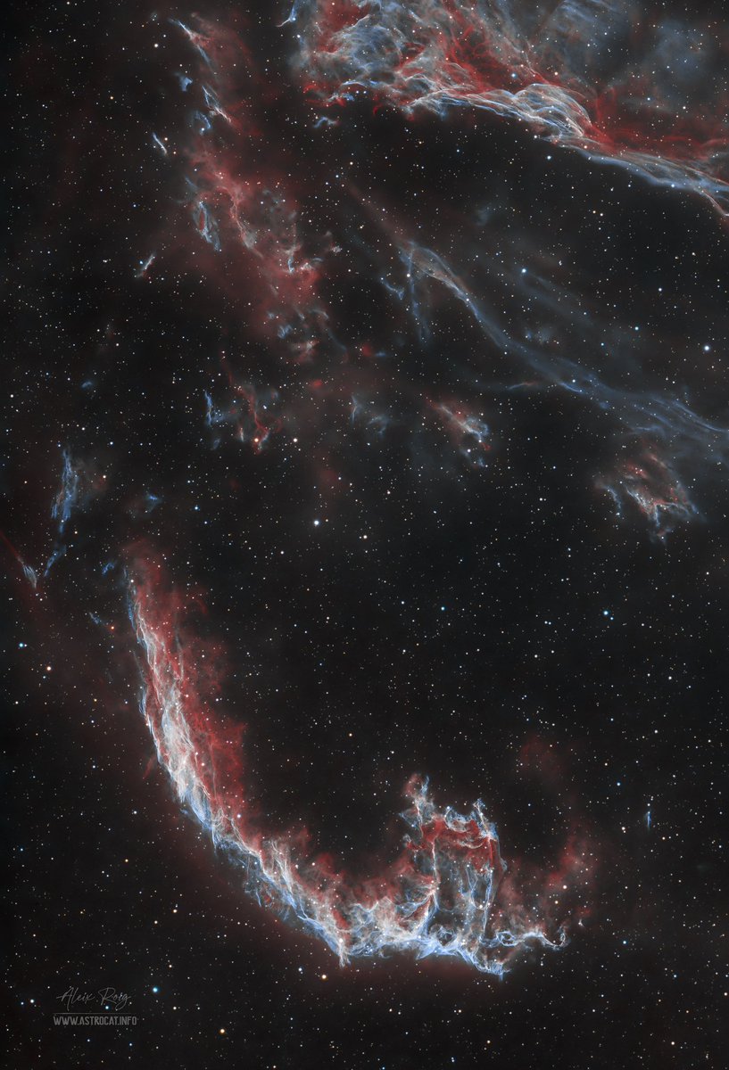 The Bat Nebula &amp; CYGNUS Loop