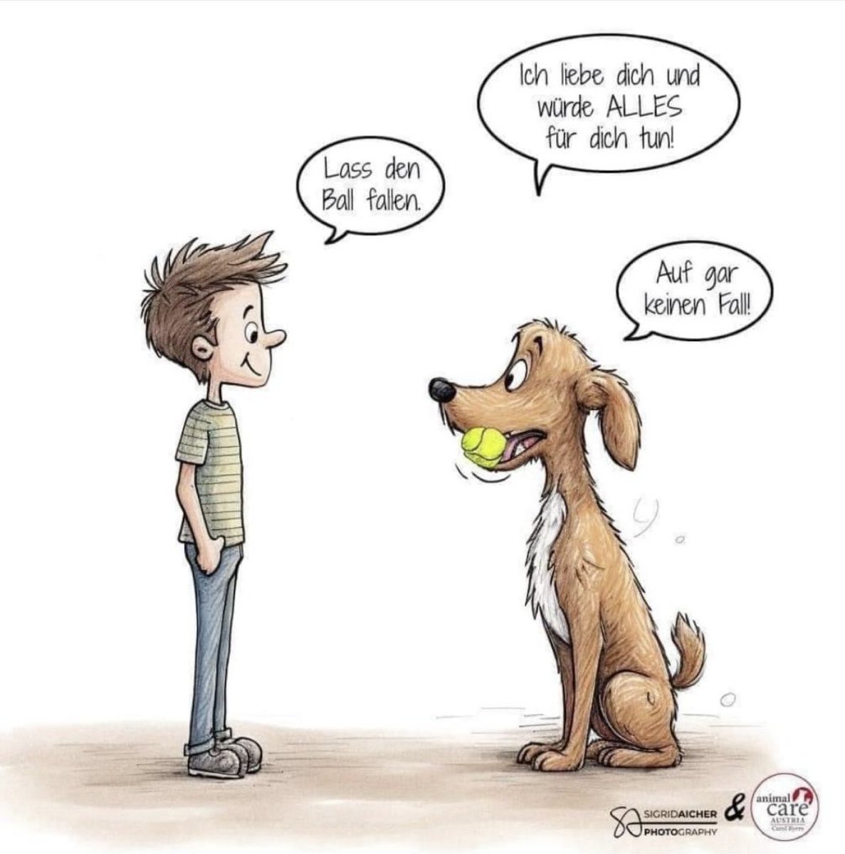 amonteBM's tweet image. Guten Morgen ❤️🐕❤️