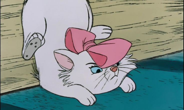 cdoll's tweet image. 