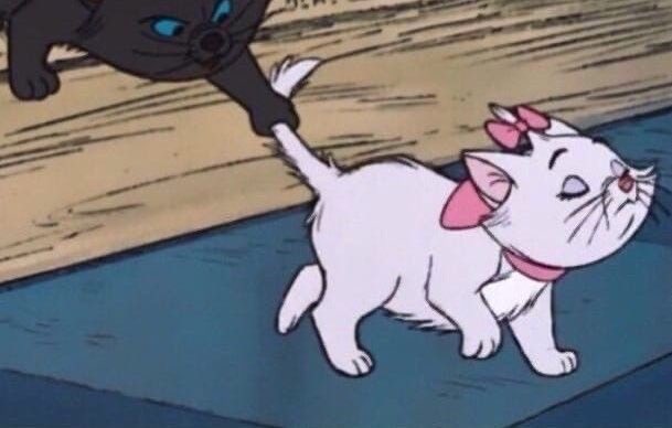 cdoll's tweet image. 