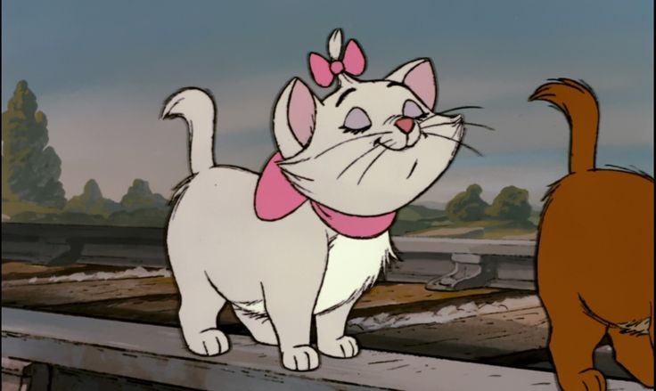 cdoll's tweet image. 