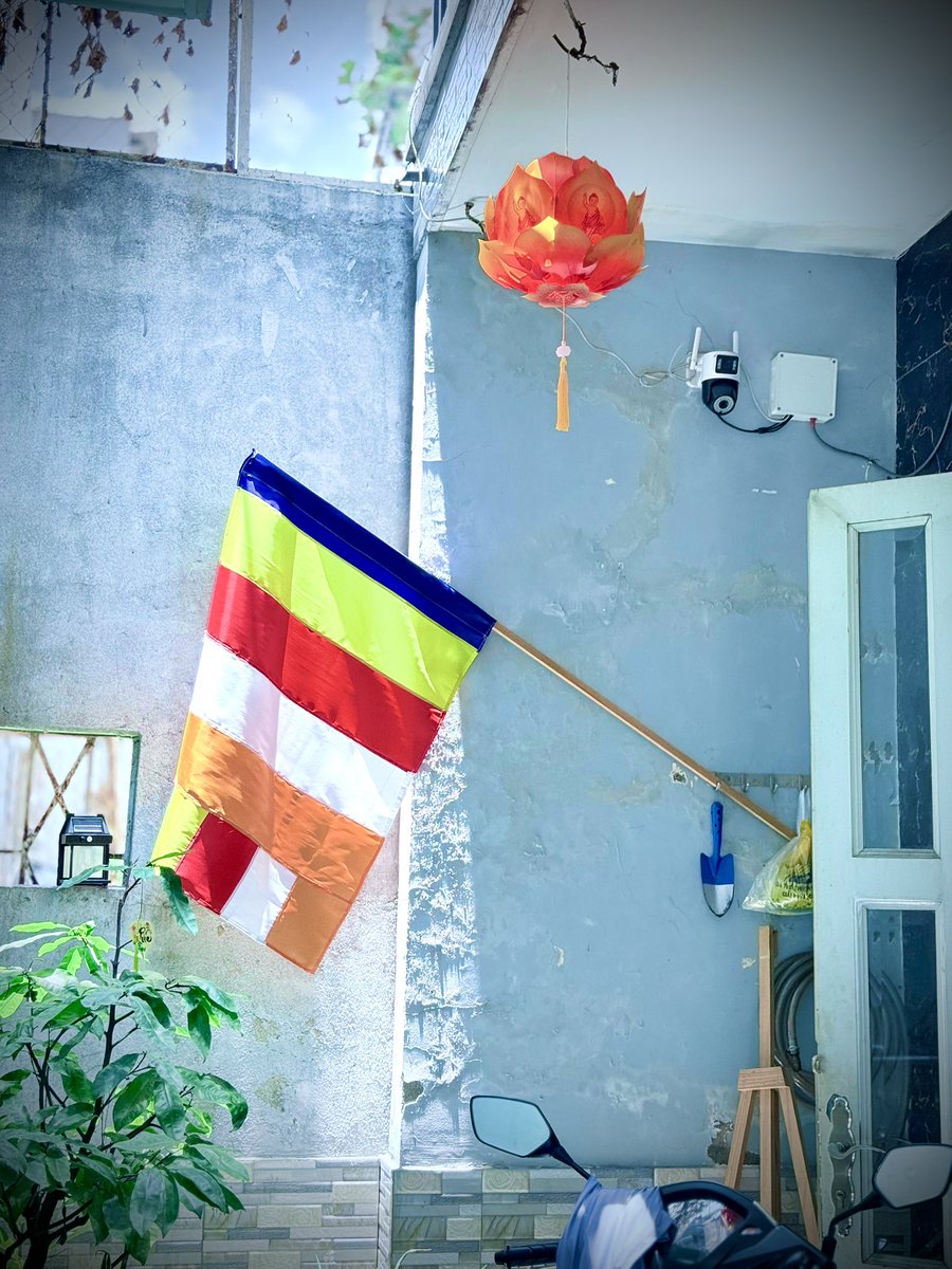 luuly1979's tweet photo. ☸️ Tư gia chúng tôi đ�� treo cờ PG và lồng đèn mừng Phật đản vào ngày Mùng 8/4 Â.L (Thứ Hai 05.5.2025) - khởi đầu tuần lễ Phật đản PL.2569. 
Namo Tassa Bhagavato Arahato Samma Sambuddhassa
🙏🙏🙏
Năm nay có sự kiện Đại lễ VESAK 2025 Liên hiệp quốc tại TPHCM https://t.co/snzDmDx7LW