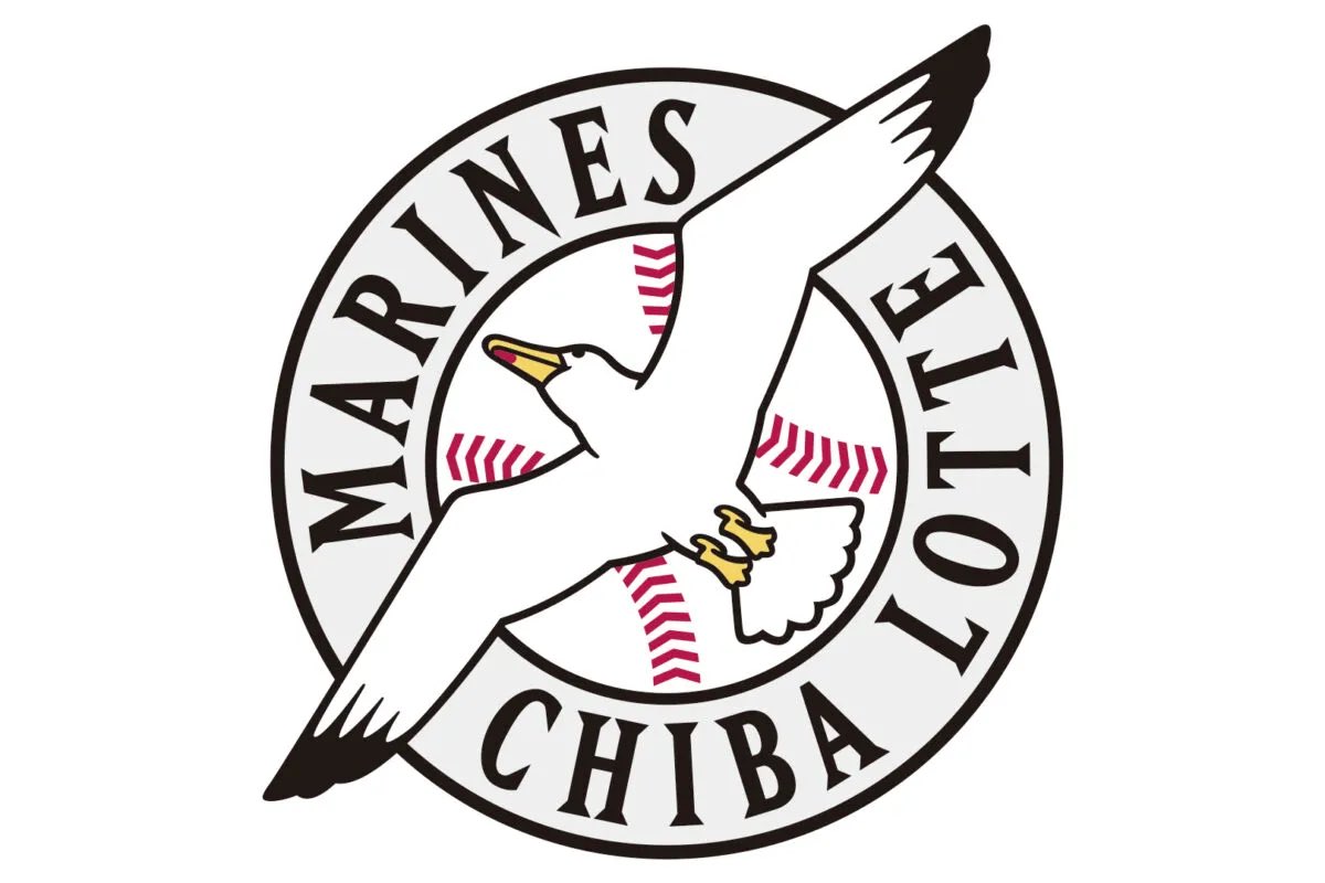 千葉ロッテマリーンズのマークのカモメは何カモメなのだろうか？下嘴に赤斑があり足が黄色い…ニシセグロカモメ？🤔 カモメ類難しい…