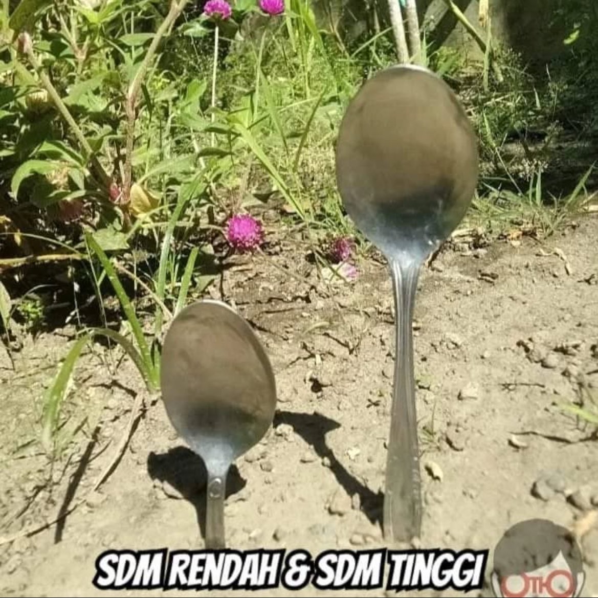 MemeComicIndo's tweet image. 