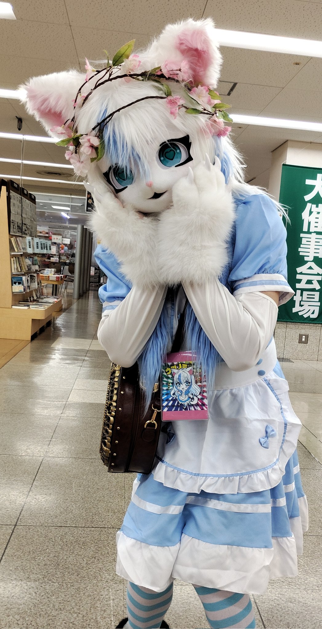 うつのみ〜にゃ - Search / X