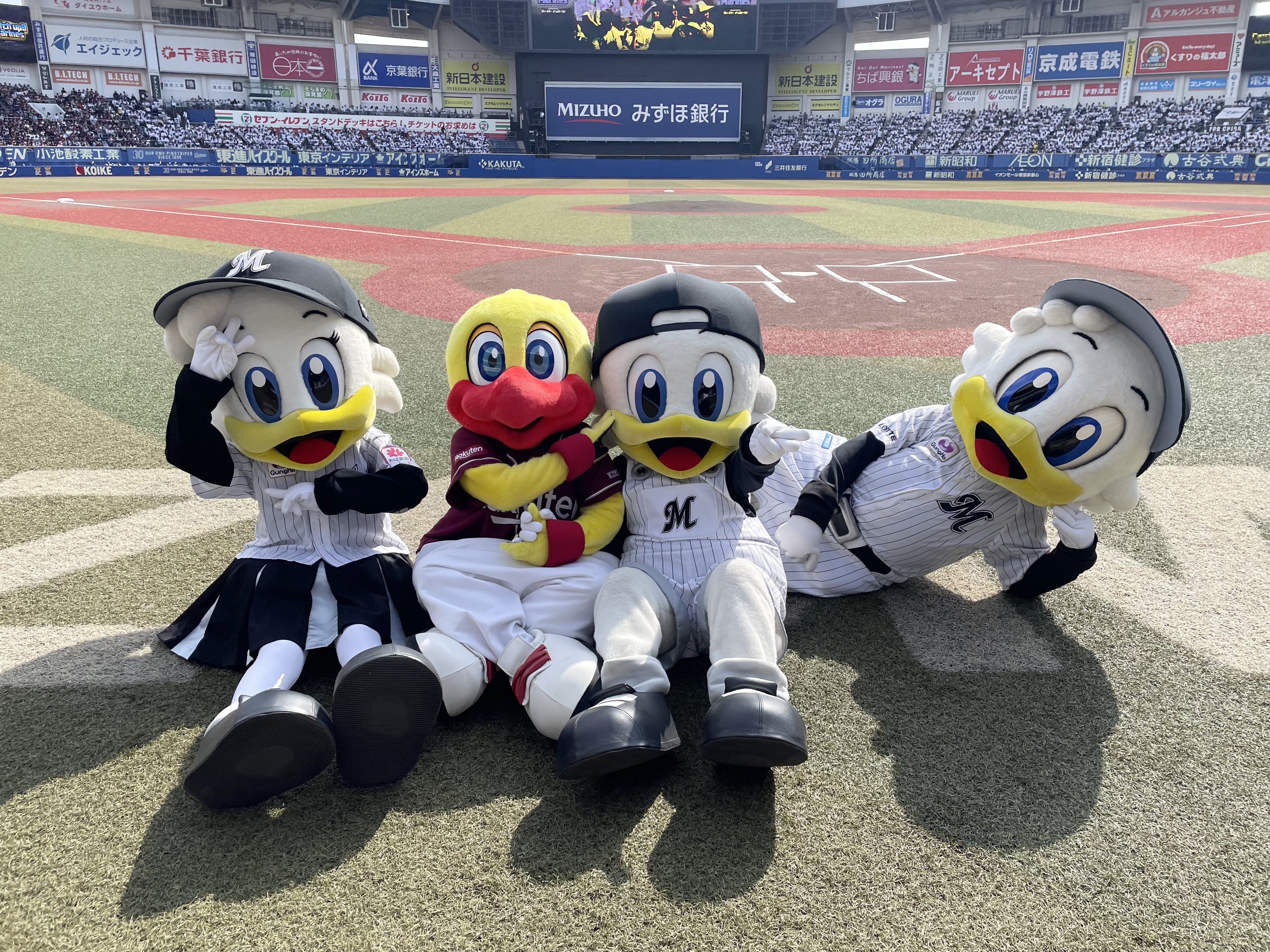 マーくん(千葉ロッテマリーンズ) (@chibalotte_mar) / X