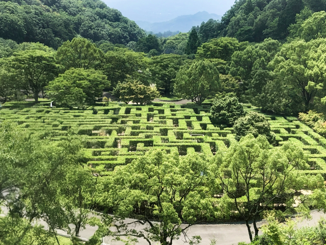 幽界迷宮に関する恐ろしい雑学
youtube.com/shorts/m1-Rhdj…