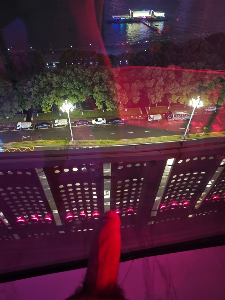 你说这个杆子能不能把湘江里的大鱼钓上来