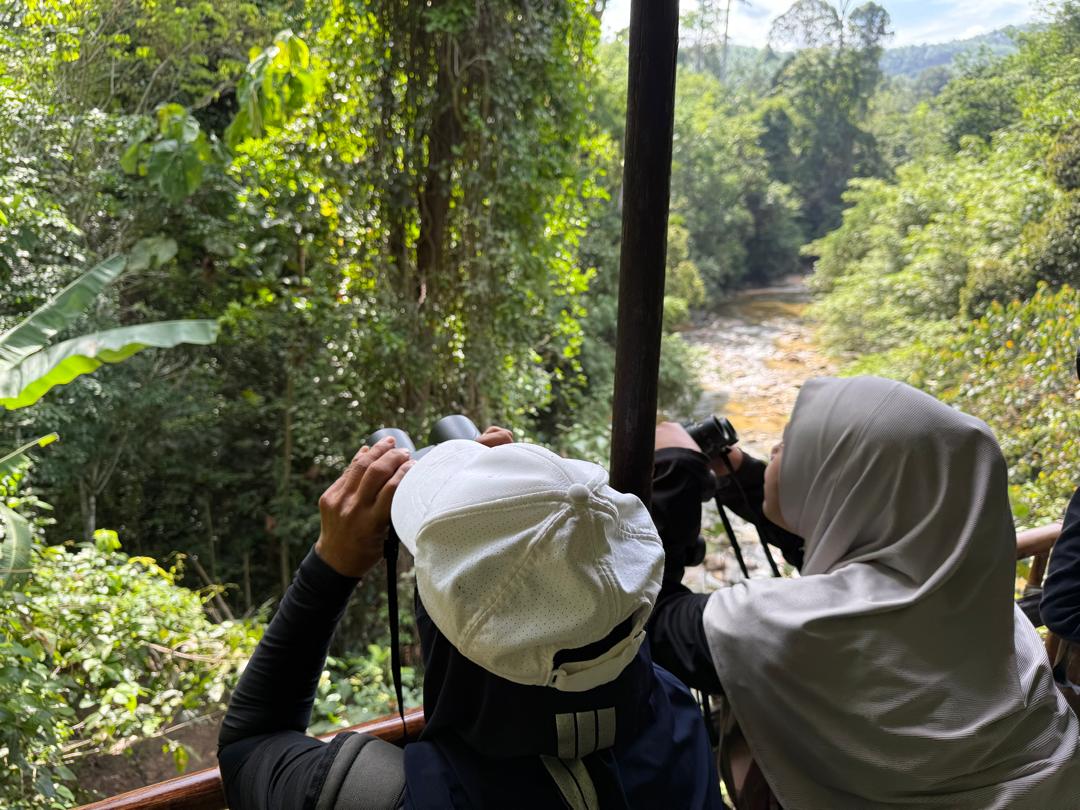 Program Santai Sungai di Kayuh D'Tonggang Siri ke-2 telah berlangsung dengan jayanya pada 3–4 Mei 2025, disertai oleh 23 peserta dari pelbagai latar belakang.

👉🏻bit.ly/3YwrJfU

Jika ingin rasai pengalaman seperti ini,  layari Facebook @ Kayuh D'Tonggang !