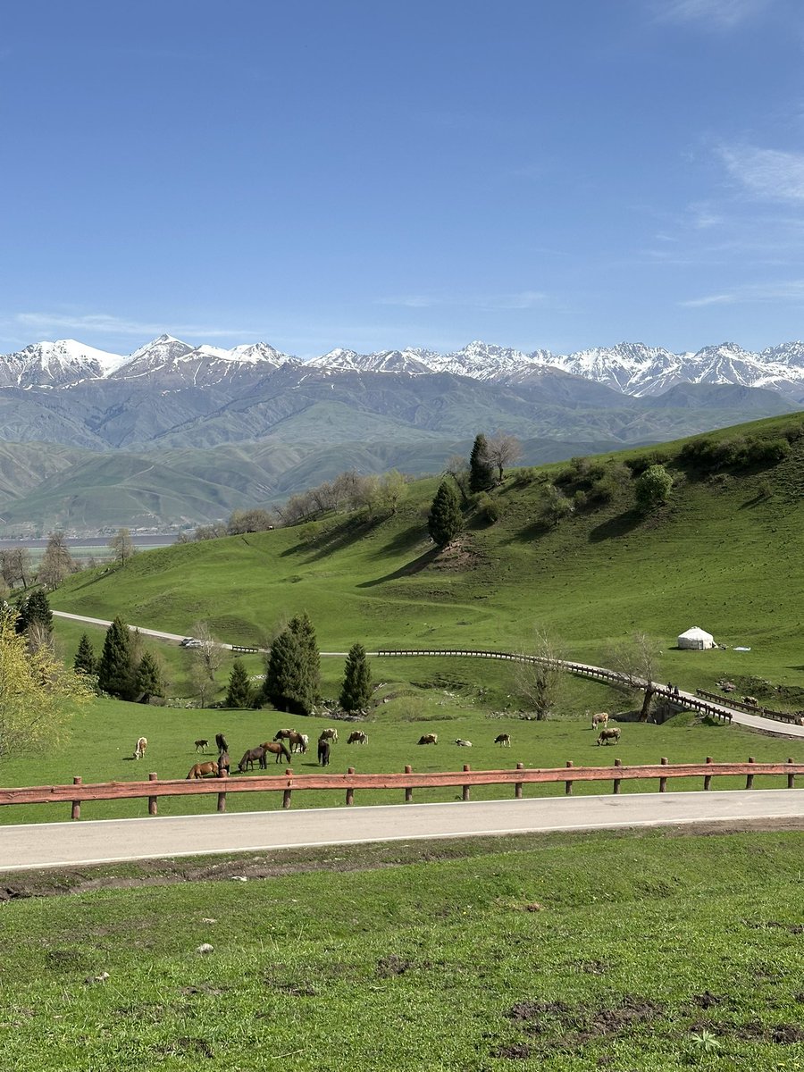 牛马放假来看牛马

#那拉提 #新疆