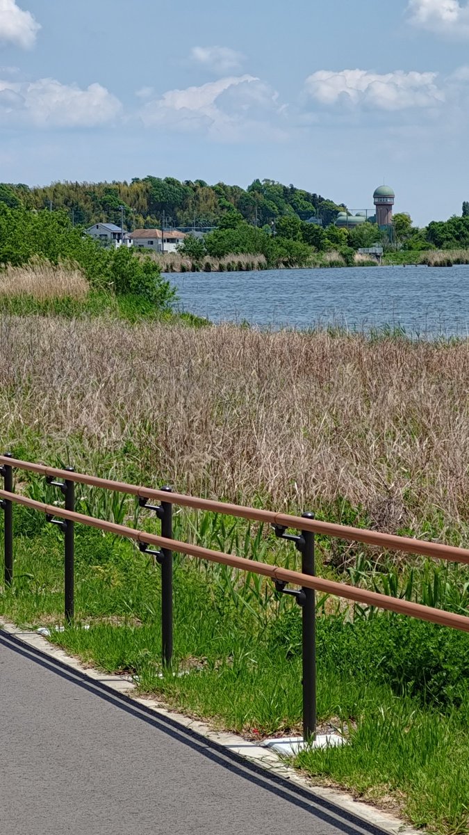 ultrachef666's tweet image. 今日は千葉県の手賀沼公園~手賀沼遊歩道を歩きました。
昔よくここを散歩してました
しばらく行かないうちに新しい道が増えてました。
個人的に最強の散歩ルートです。