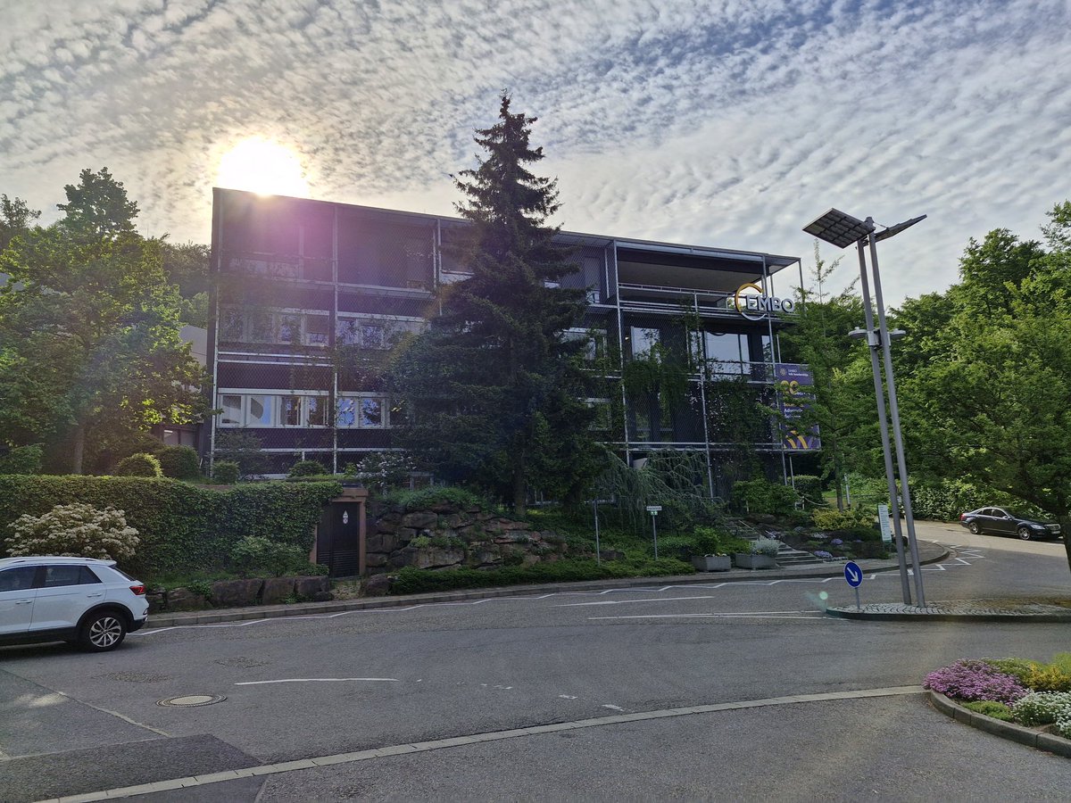 Yehu Moran (@yehumoran) on Twitter photo I'm starting a short sabattical of 4 months at <a href="/EMBOPress/">EMBO Press</a> today! I hope we can achieve some good things for the molecular eco-evo community and science publishing during this time! #heidelberg I'm starting a short sabattical of 4 months at <a href="/EMBOPress/">EMBO Press</a> today! I hope we can achieve some good things for the molecular eco-evo community and science publishing during this time! #heidelberg