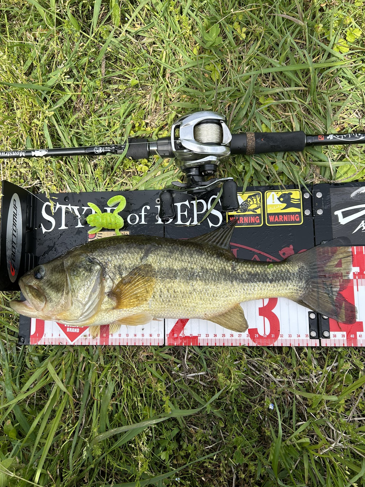 🐸のり🐸 (@Nori_BassAngler) / X