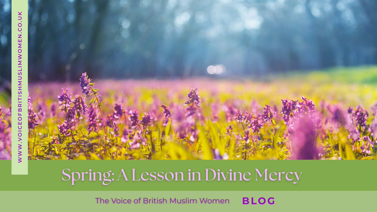 As we experience the beauty of the Spring season, Tooba Khokhar reminds us that Spring is a sign from God of His ceaseless Mercy.

voiceofbritishmuslimwomen.co.uk/2025/05/05/spr…