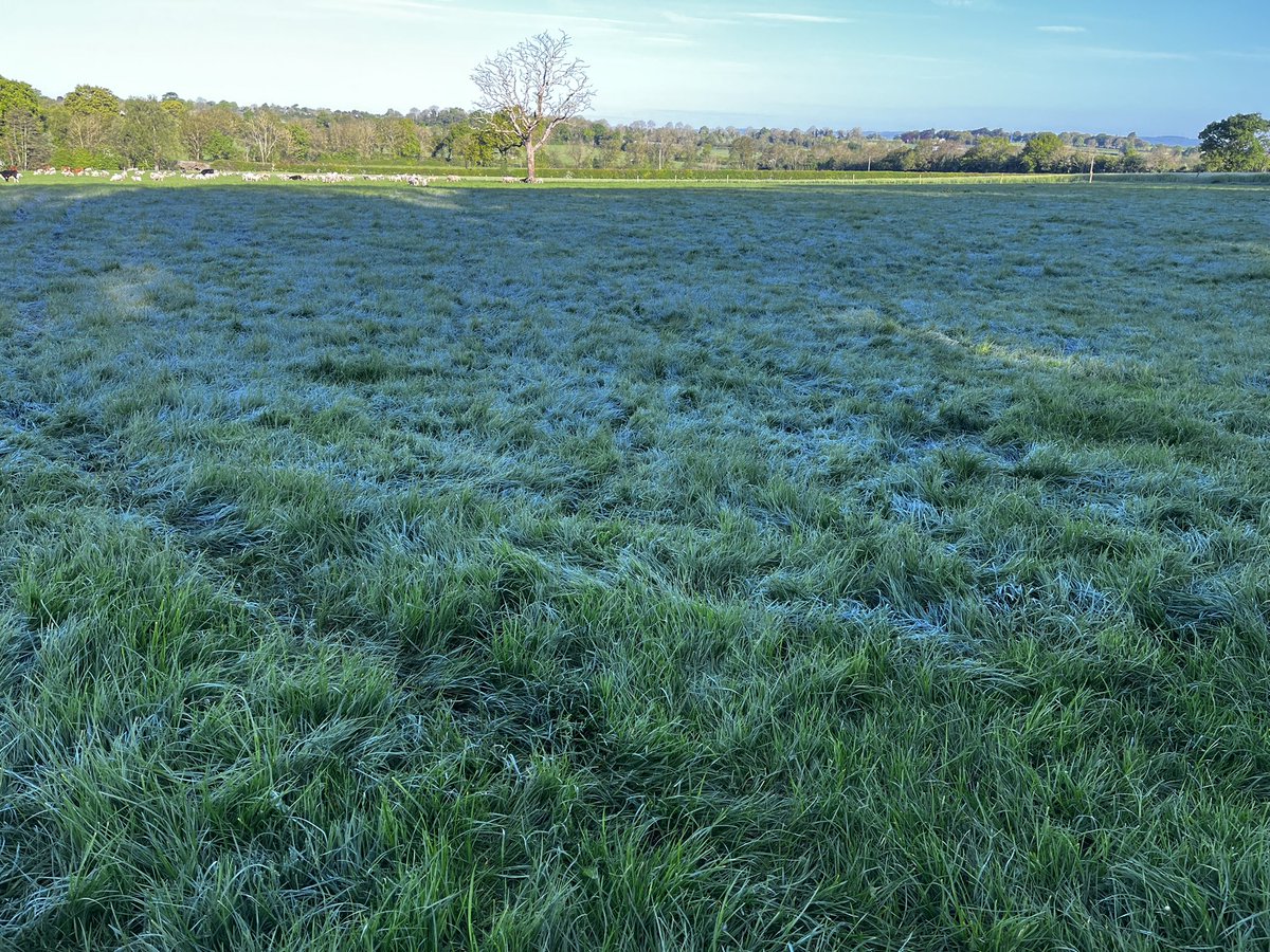 Ice on the wellies. morning. Not what you expect at 7.45mon a May morning !