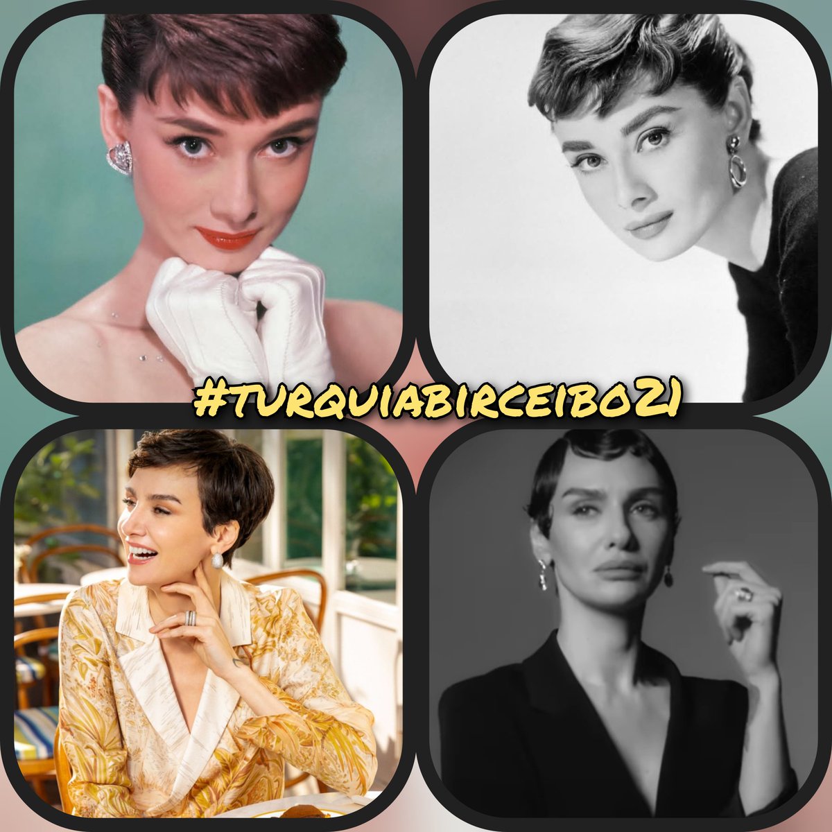 @turquiabirceibo2021 tweet media