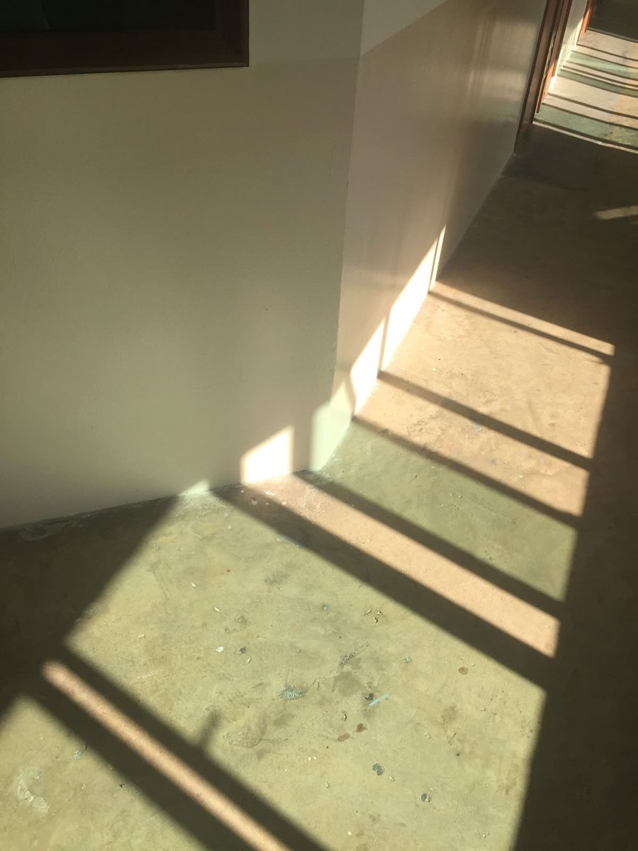 오후의 반사광