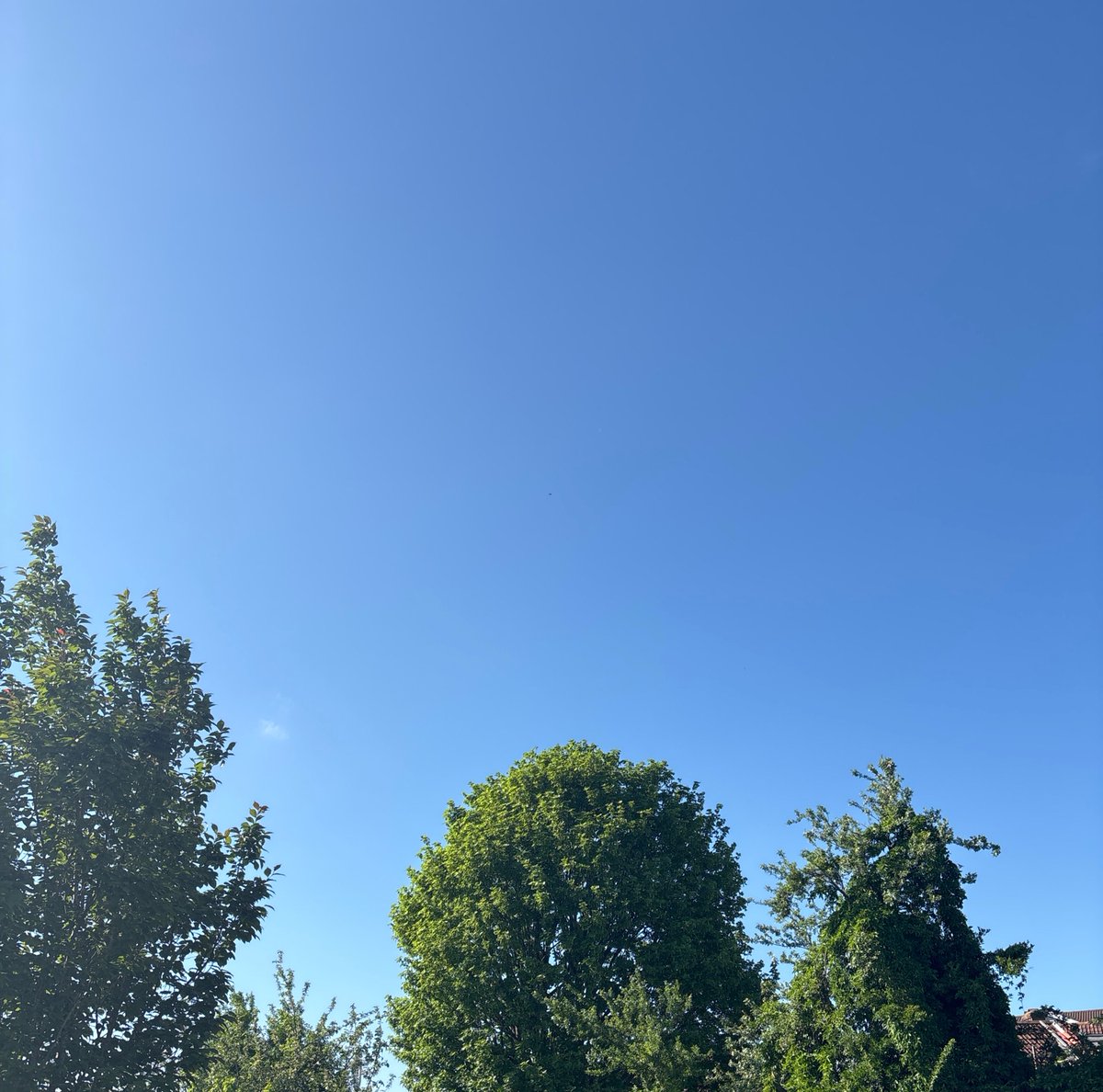 Please note that we are closed for Bank Holiday Monday (5th May), open as usual on Tuesday 6th May.

Enjoy the weather everyone!

#BS31Business #KeynshamHighStreet
#local